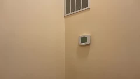 honey_man14 online show from February 12, 2026, 4:57 pm