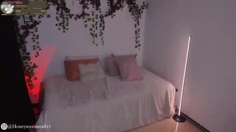 Snapshot of honeymoontea chatting on February 24, 2025, 10:14 pm       online show from February 24, 2025, 10:14 pm
