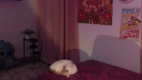 Snapshot of honeyypeaach chatting on December 11, 2024, 12:12 am    online show from December 11, 2024, 12:12 am