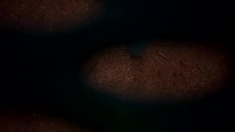 hopper_in_joyce online show from March 2, 2025, 9:10 am