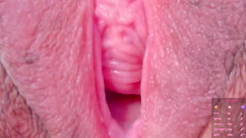 Snapshot of horny_moly chatting on October 8, 2025, 1:47 am The girl with butterfly lips online show from October 8, 2025, 1:47 am