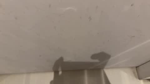 hornybear420420420 online show from March 2, 2026, 9:16 am