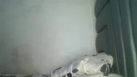 Snapshot of hornybella84 chatting on May 3, 2026, 6:52 am Bella online show from May 3, 2026, 6:52 am