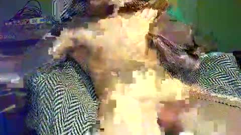 Snapshot of hornycocxxx chatting on March 9, 2025, 1:14 am hornycocxxx online show from March 9, 2025, 1:14 am