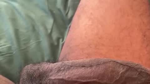 Bbc horsey online show from February 11, 2026, 8:58 pm