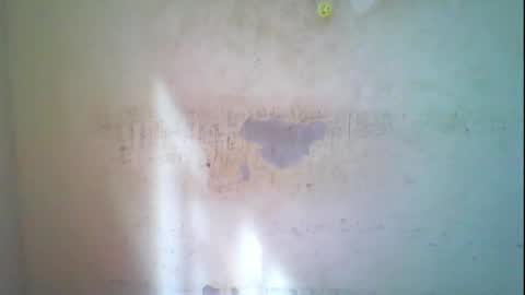 Coco online show from November 1, 2025, 8:16 am