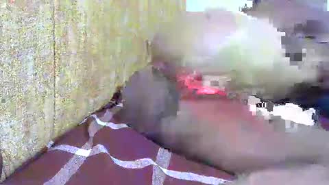 Snapshot of hot_ebony11 chatting on February 16, 2025, 7:05 pm chooo pie online show from February 16, 2025, 7:05 pm