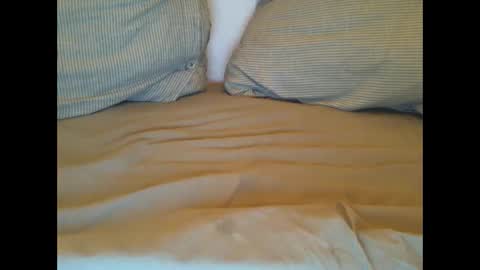 Snapshot of hot_lars chatting on March 1, 2025, 11:26 pm Lars online show from March 1, 2025, 11:26 pm