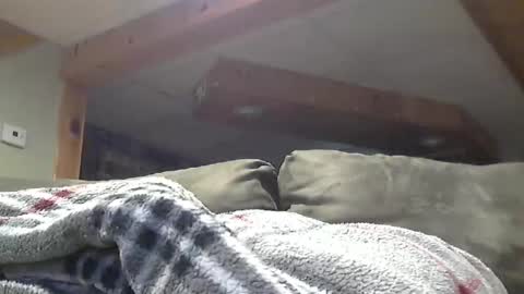 Snapshot of hotandhornyxxx1 chatting on May 1, 2026, 8:46 pm Hot and Horny online show from May 1, 2026, 8:46 pm