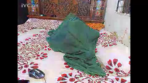 Hotcapolx online show from November 24, 2025, 5:34 pm