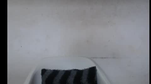 hotjessie0 online show from October 7, 2025, 5:04 am
