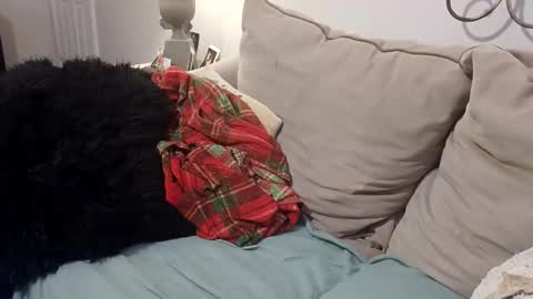 hotpepperose online show from February 27, 2026, 2:33 am