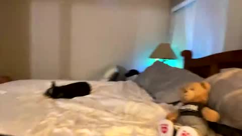 Snapshot of hottiewithabody101 chatting on April 11, 2026, 11:53 pm hottiewithabody101 online show from April 11, 2026, 11:53 pm