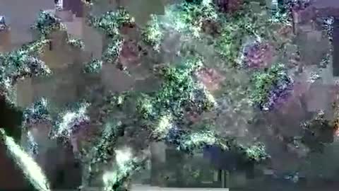 hp58649blabla online show from September 17, 2025, 1:07 am