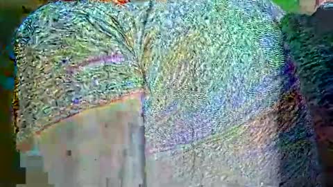 hp58649blabla online show from September 25, 2025, 9:02 am