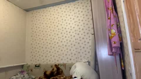 hsiuscherich online show from January 12, 2026, 12:10 pm