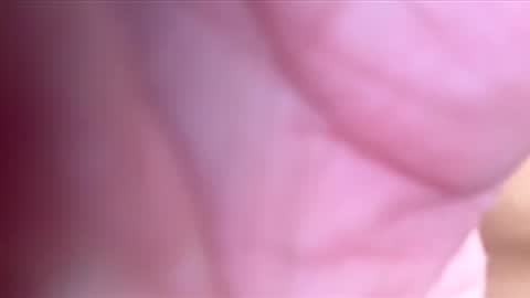 htwnswangn9 online show from March 3, 2026, 4:07 am