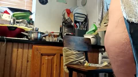 humiliationbucket online show from March 25, 2026, 11:49 am