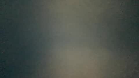 Snapshot of hummelbummel00 chatting on April 13, 2026, 2:33 pm hummelbummel00 online show from April 13, 2026, 2:33 pm