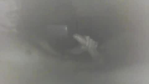 Snapshot of hungchris25 chatting on January 12, 2025, 4:50 pm hungchris25 online show from January 12, 2025, 4:50 pm