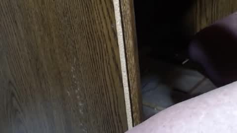 hungsofine online show from February 7, 2025, 9:58 pm