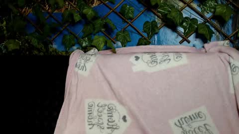 Snapshot of hustle6930 chatting on December 7, 2024, 4:20 am Kayla online show from December 7, 2024, 4:20 am