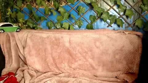 Snapshot of hustle6930 chatting on December 21, 2024, 4:30 am Kayla online show from December 21, 2024, 4:30 am