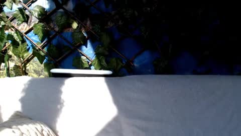 Snapshot of hustle6930 chatting on March 3, 2025, 8:38 am Kayla online show from March 3, 2025, 8:38 am