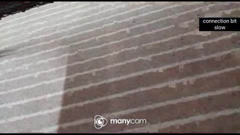 JP online show from January 7, 2026, 1:02 pm