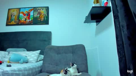 iam_your_fantasy online show from February 1, 2026, 9:13 pm