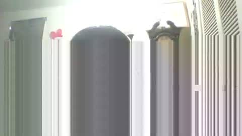 Snapshot of iamproprojectcandysugarbaby chatting on September 13, 2025, 1:55 pm I LOVE MY COCONUT EAT MY COCONUTS online show from September 13, 2025, 1:55 pm