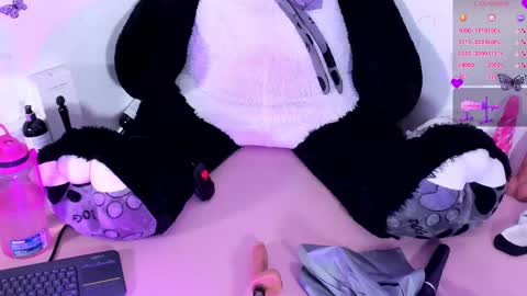 Snapshot of iamstephanie13 chatting on January 23, 2025, 5:56 am Steph - Online Again   - 1 DECEMBER online show from January 23, 2025, 5:56 am