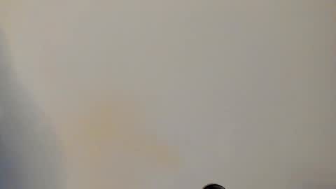 IAN CASTILLO online show from February 24, 2026, 11:08 am