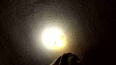 ibussbooties_007 online show from March 14, 2026, 1:55 am