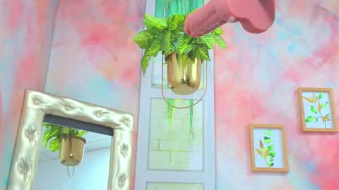 Idiris online show from December 16, 2025, 2:11 pm