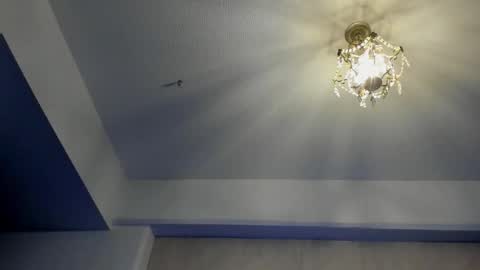 Igor scott online show from December 23, 2024, 1:51 am