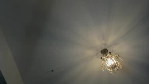 Igor scott online show from February 16, 2025, 4:42 am