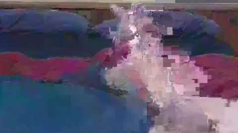 ihavebigballs00 online show from December 17, 2024, 3:06 am