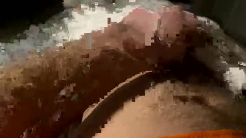 Snapshot of ihor6550 chatting on February 6, 2026, 2:49 am Tornado online show from February 6, 2026, 2:49 am