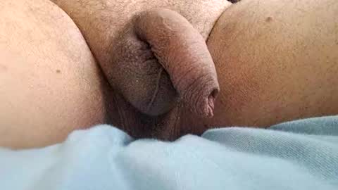 Snapshot of ikbenzo chatting on December 8, 2024, 10:41 am ikbenzo online show from December 8, 2024, 10:41 am