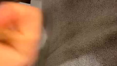 iltjoal69 online show from March 5, 2025, 10:33 am