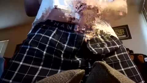 Iminyourroom online show from March 12, 2025, 4:13 pm