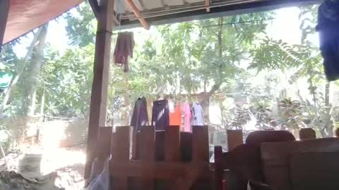 Snapshot of immaculate02 chatting on February 1, 2025, 4:46 am Immaculate02 online show from February 1, 2025, 4:46 am