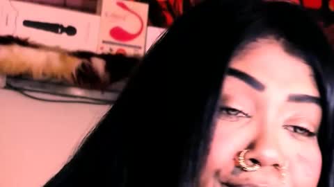 Bella Ambrosia online show from November 20, 2025, 2:12 am