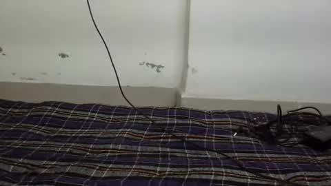 jully online show from February 10, 2026, 5:50 pm