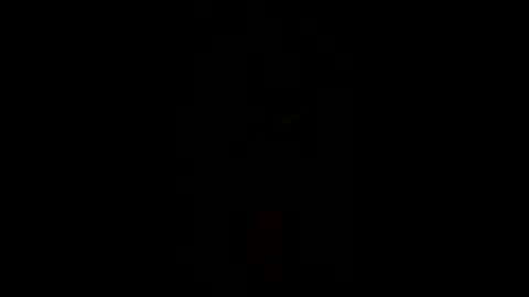 Rocco online show from December 17, 2025, 11:49 am