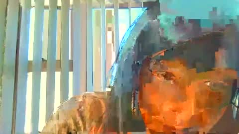 rani online show from July 6, 2026, 6:32 am