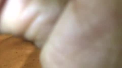 Snapshot of internationalgodfather chatting on January 27, 2025, 3:18 pm InternationalGodFather online show from January 27, 2025, 3:18 pm