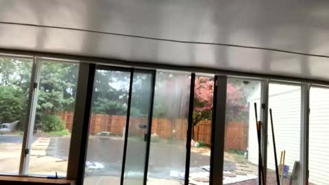 IntoTheWoodsWeGo online show from October 30, 2025, 2:18 pm