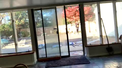 IntoTheWoodsWeGo online show from November 13, 2025, 8:30 pm